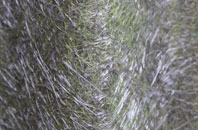 Esgyryn fibreglass roof work